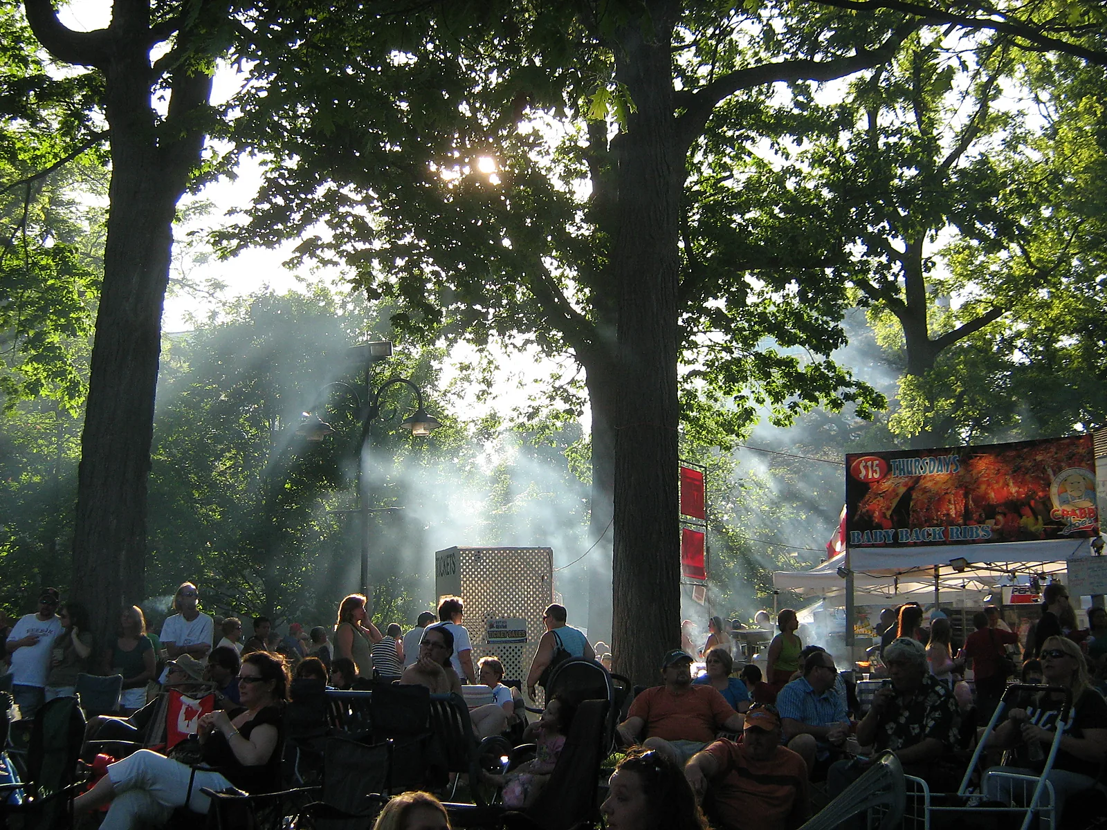 Gage Park in Brampton during a community festival